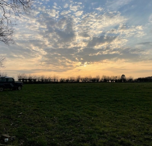 Farm sunset