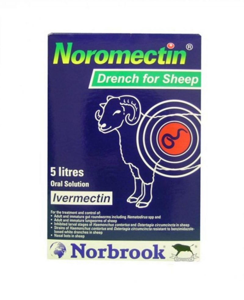 Noromectin Drench for Sheep Large