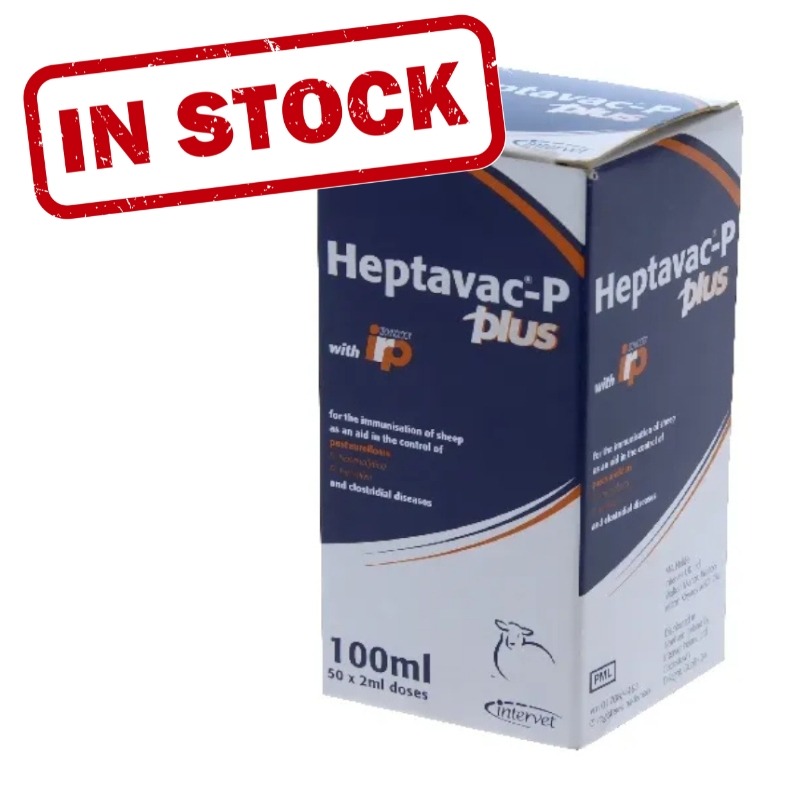 Heptavac Vaccine by Intervet in 100 ml