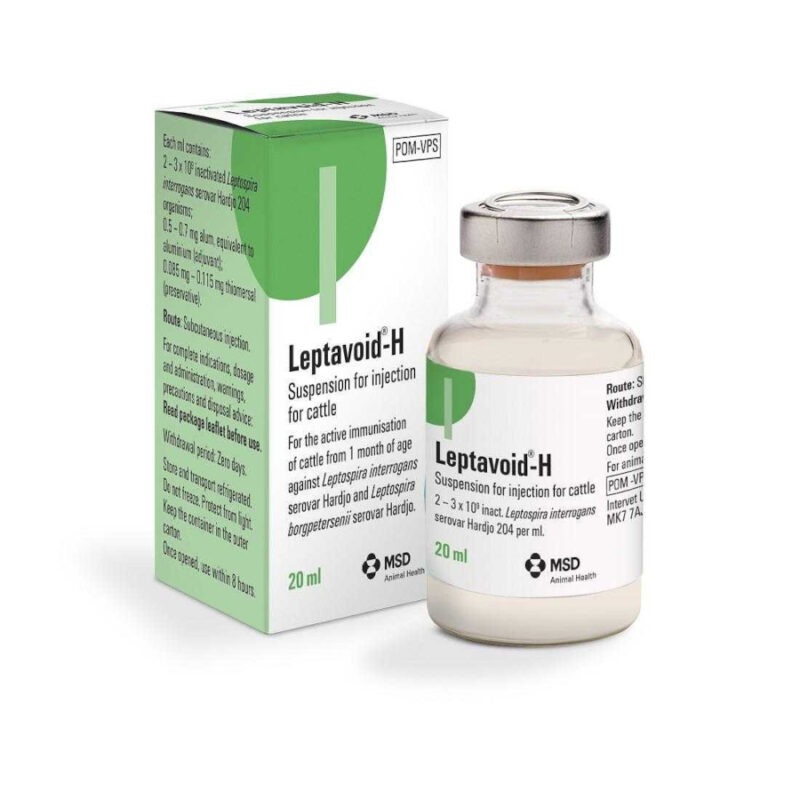 leptaviod h injection
