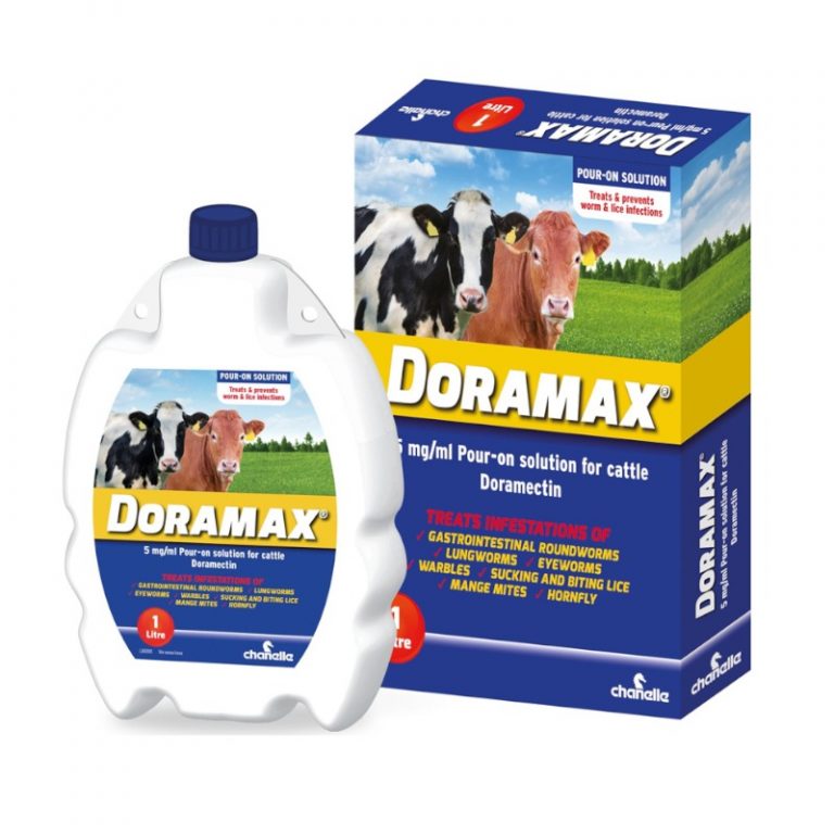 doramax