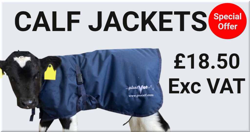 calf jackets sale