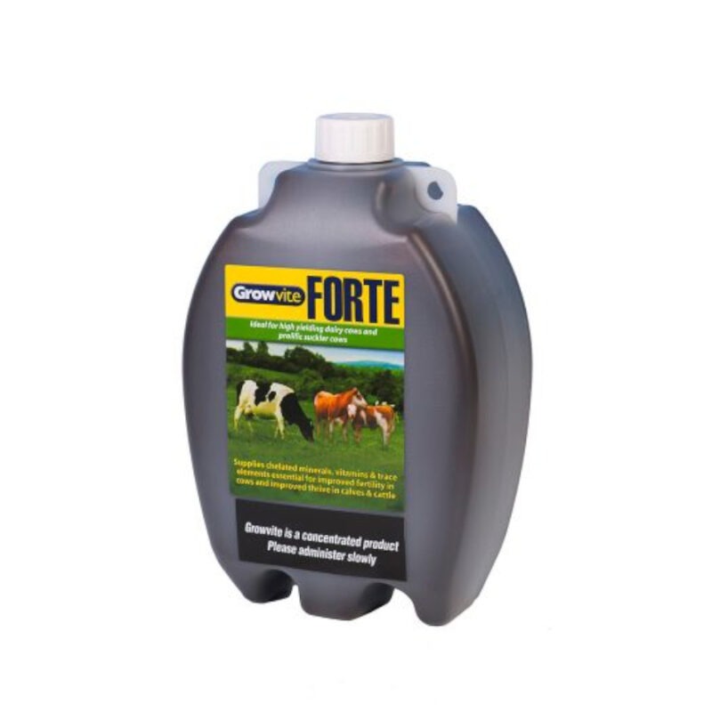 Growvite Forte for cattle