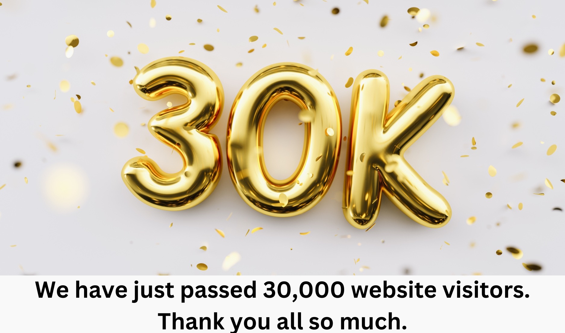 30 thousand website visitors