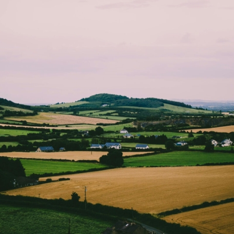 Farm View Fields