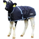 Affordable Calf Jackets