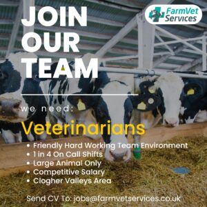 Join Our Team